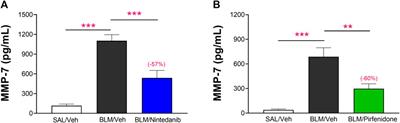 Harnessing the translational power of bleomycin model: new insights to guide drug discovery for idiopathic pulmonary fibrosis